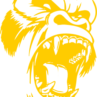 KINGKONG
